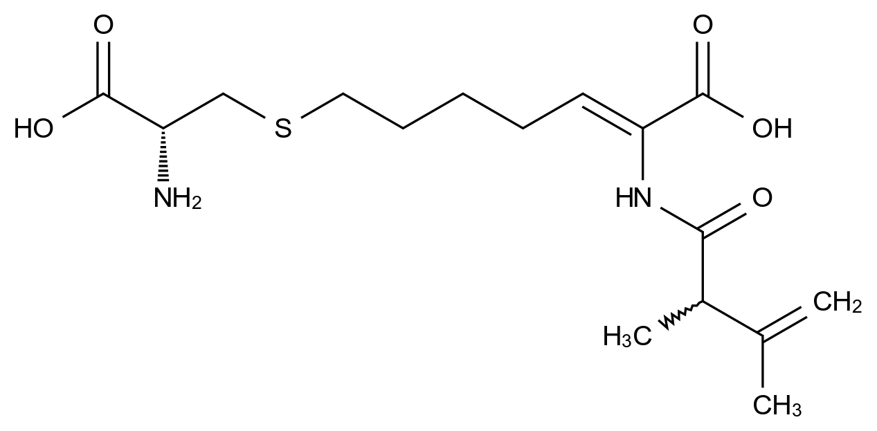 西司他丁EP杂质F